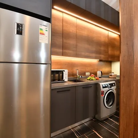 Taksim Flat 公寓 伊斯坦布尔